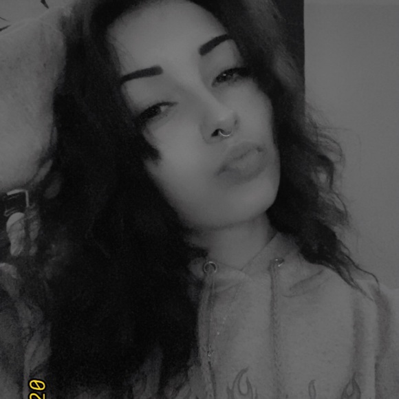 Meet your Posher, Bentley - Picture 1 of 1